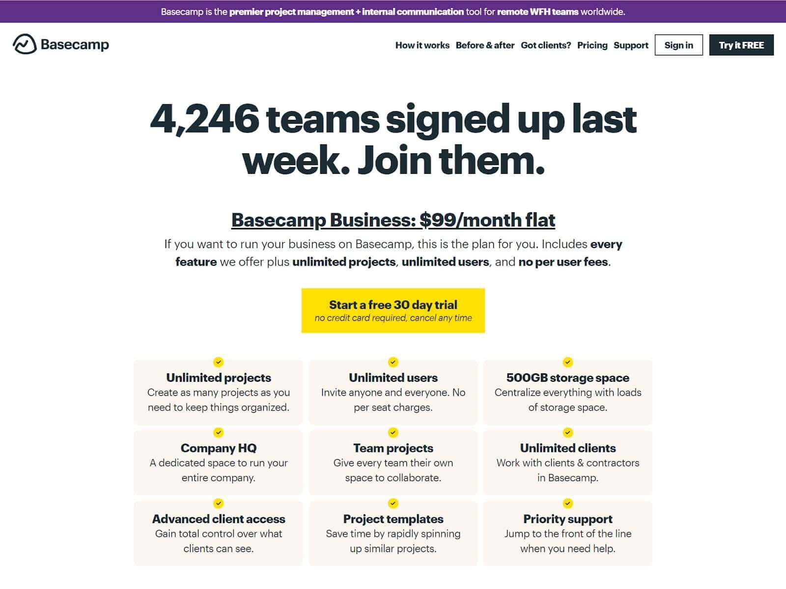 Saas product: flat rate pricing