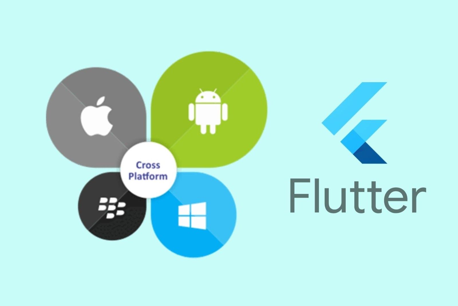 Flutter for your Cross-platform App