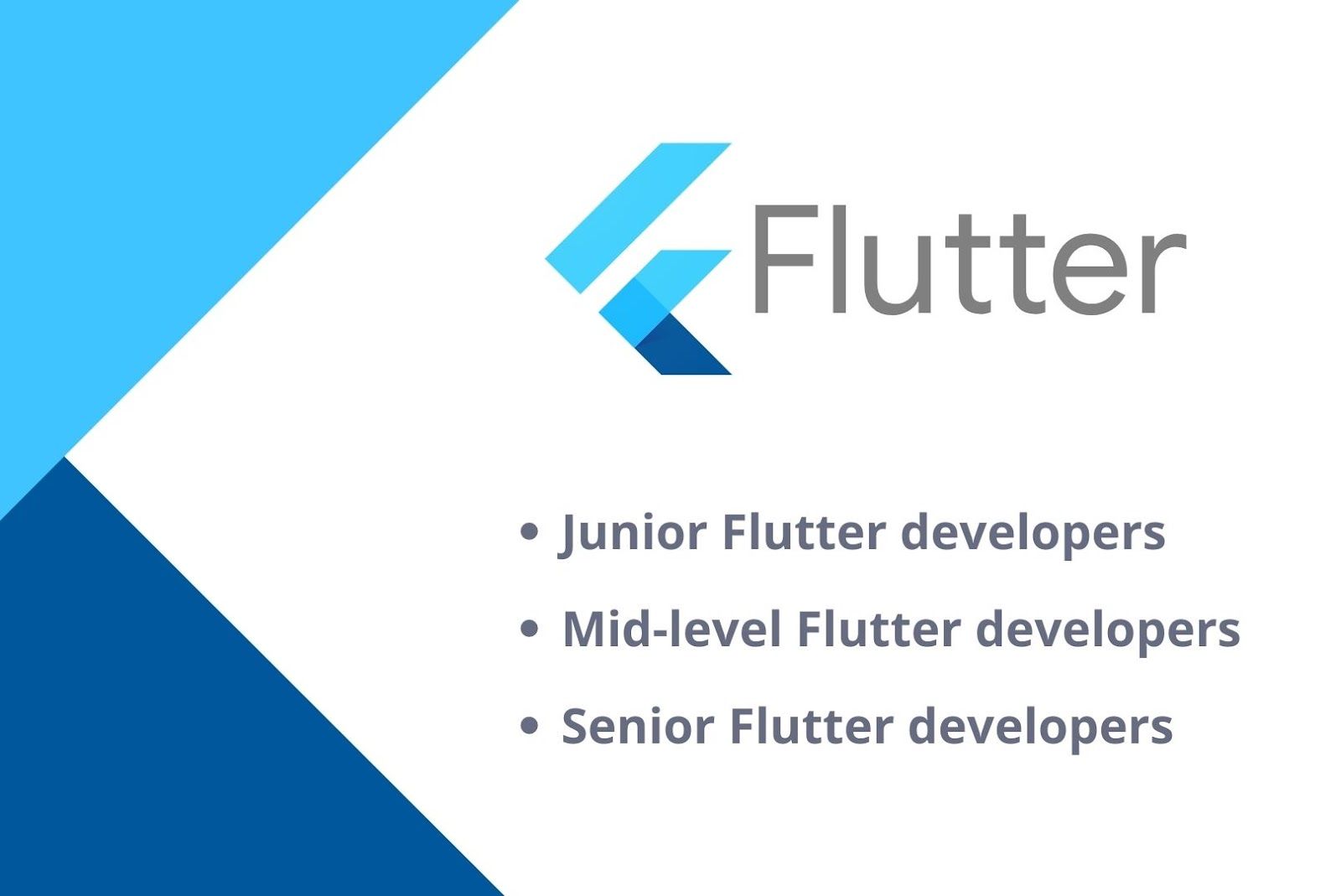 Flutter app developers