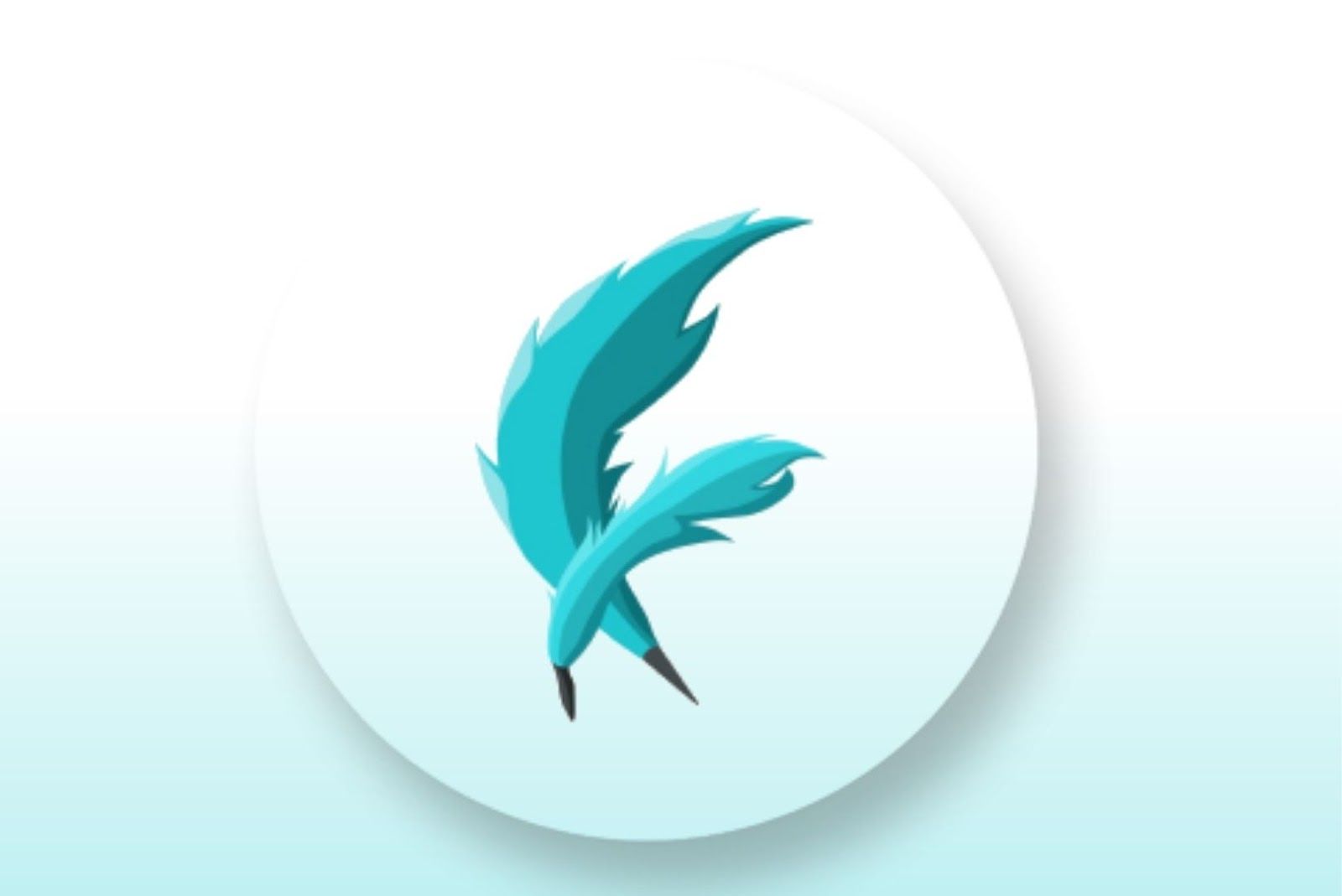 Panache Flutter app development tools