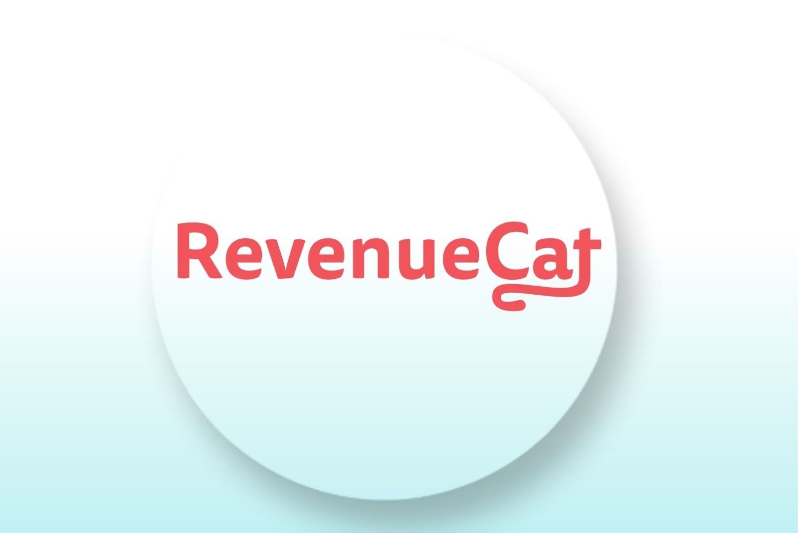 Revenue Cat flutter app development tools